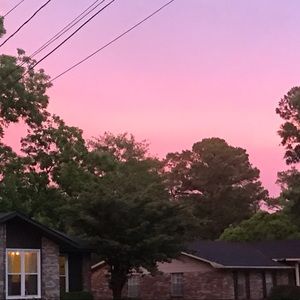 Meet your Posher, Nita